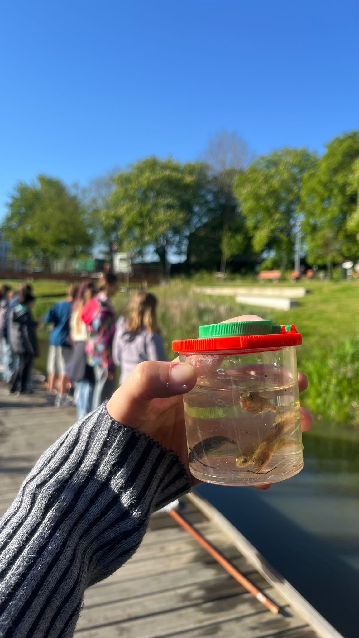 A jar with small fish and water creatures caught during a Waterwijs workshop in Bruges